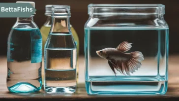 Can I use bottled water for Betta fish